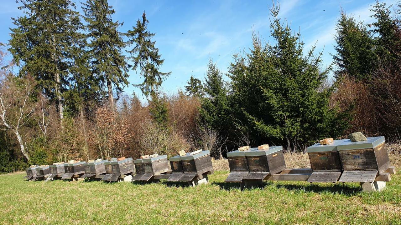 Ferienwohnung Gruengut Weckersdorf المظهر الخارجي الصورة